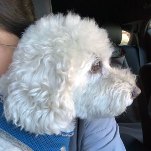 Meet your Posher, Jeannette